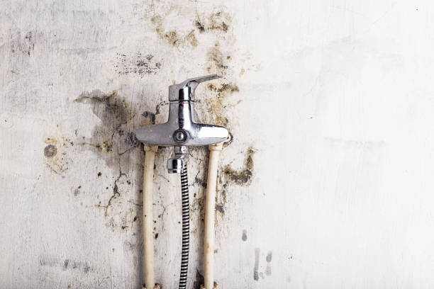 Mold Removal and Inspection in Manorville, NY