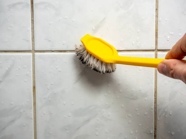 Best Toxic Mold Removal  in Manorville, NY