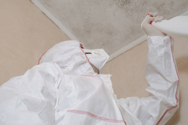 Best Mold Testing  in Manorville, NY